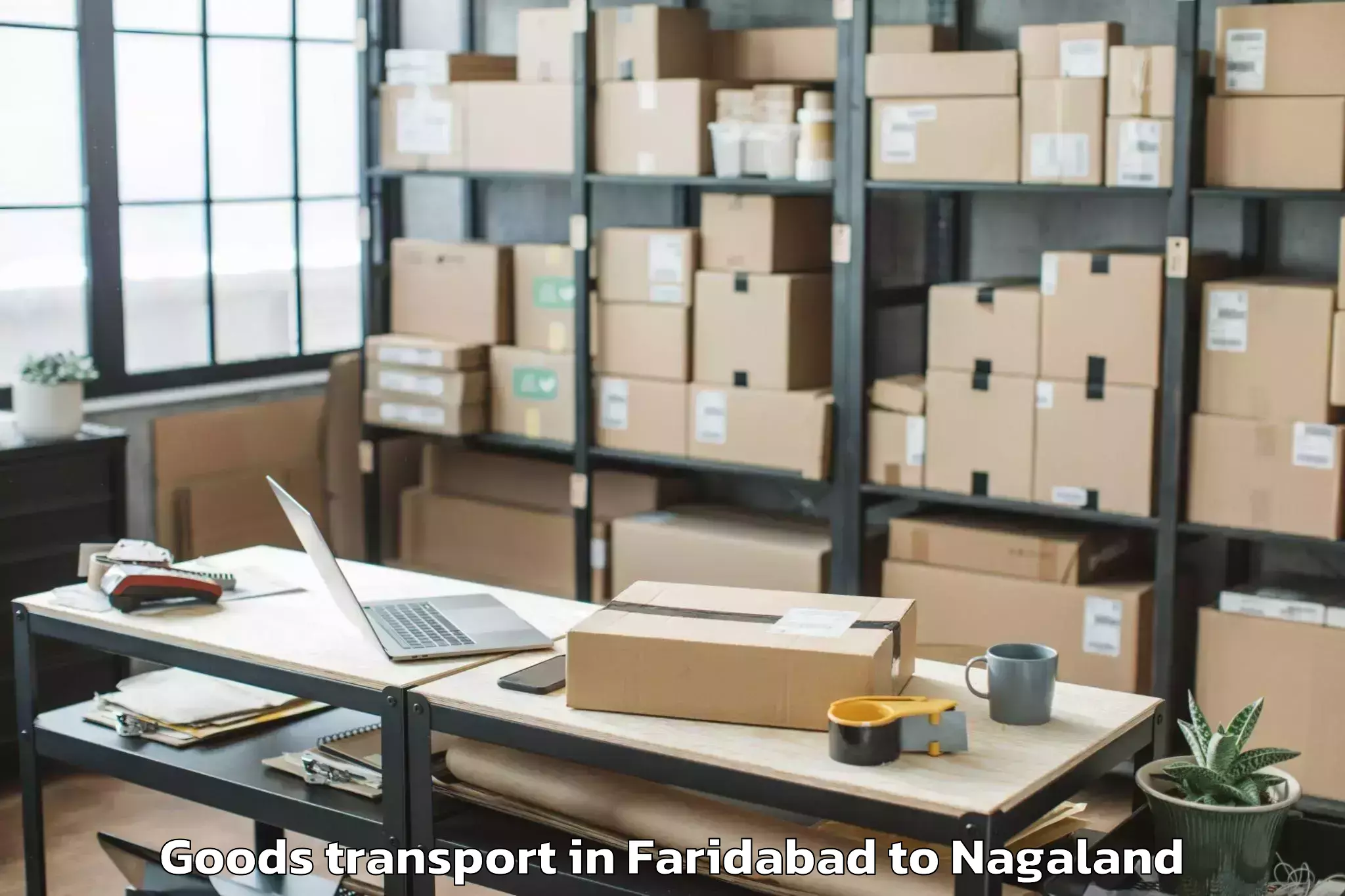 Professional Faridabad to Medziphema Goods Transport